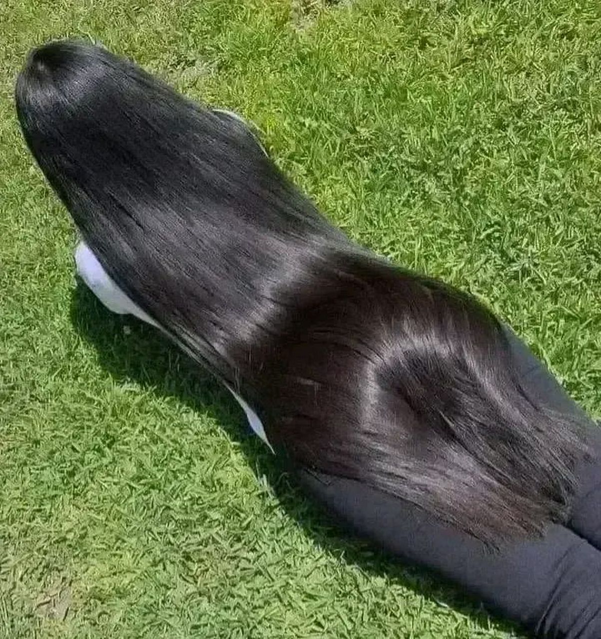 让人敬佩,相比短发的女生,绝大多数的男生更喜欢这长发飘飘的女生