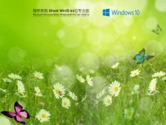 绿茶系统 Ghost Win 10 64位 安全装机版 V2021.12 官方优化特别版