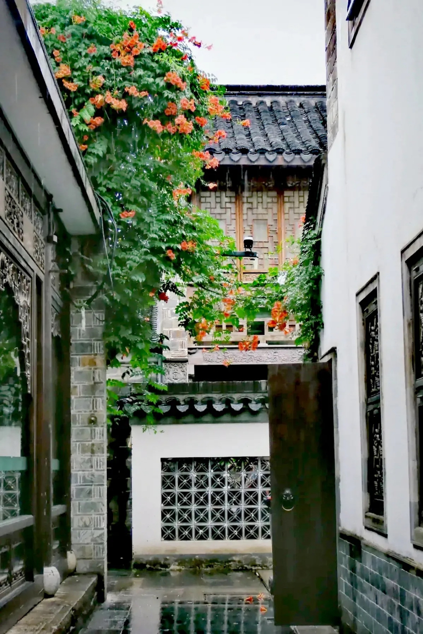 青砖伴瓦漆,白马踏新泥 凌霄花开雨巷庭深仲夏时 屋檐洒雨滴,炊烟