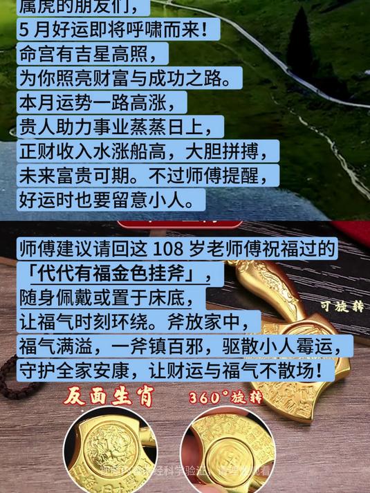 生肖虎今年的运势运程(生肖虎的今年整体运势)
