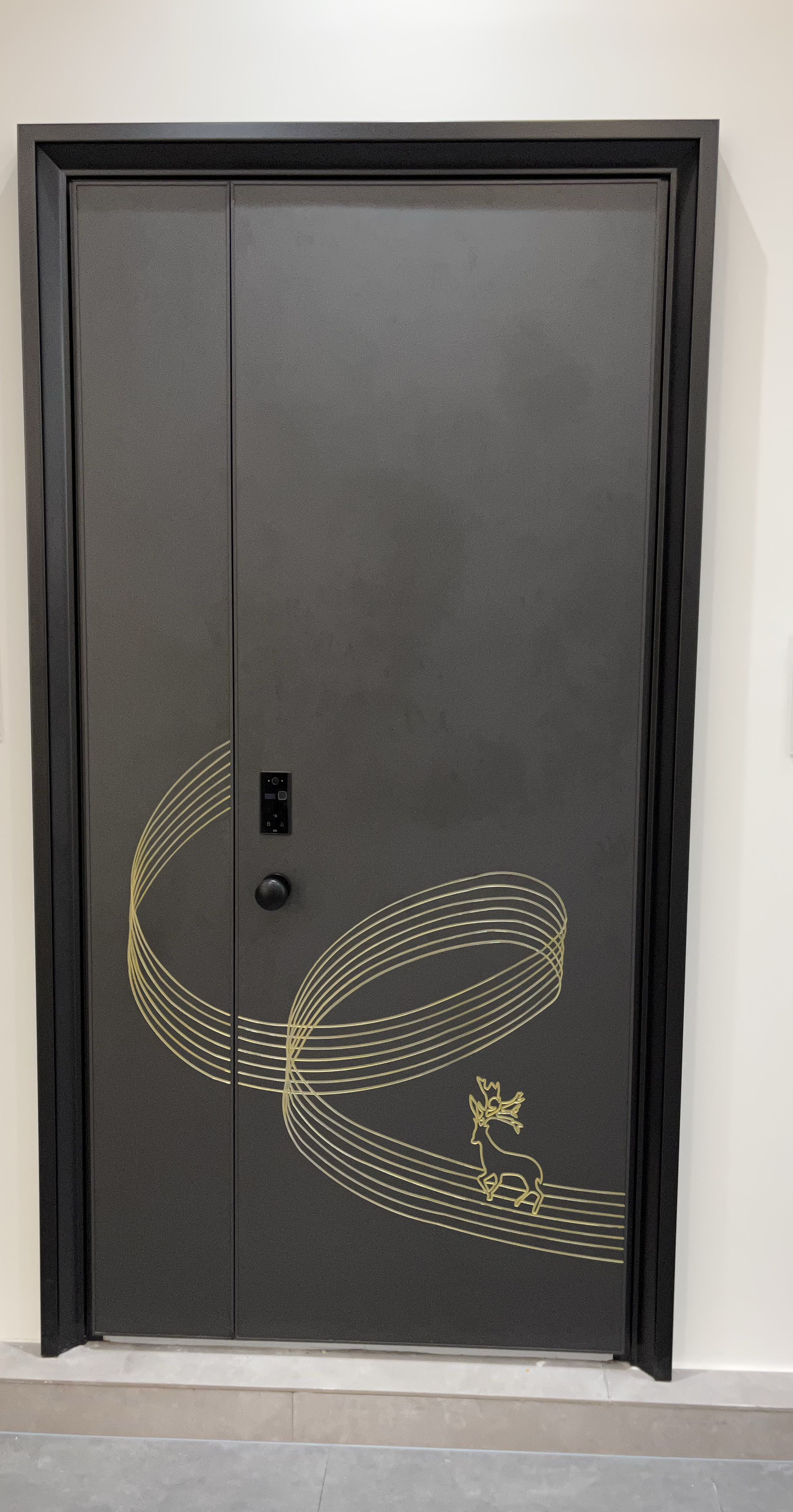 这些入户门/子母门 你需欢那款?