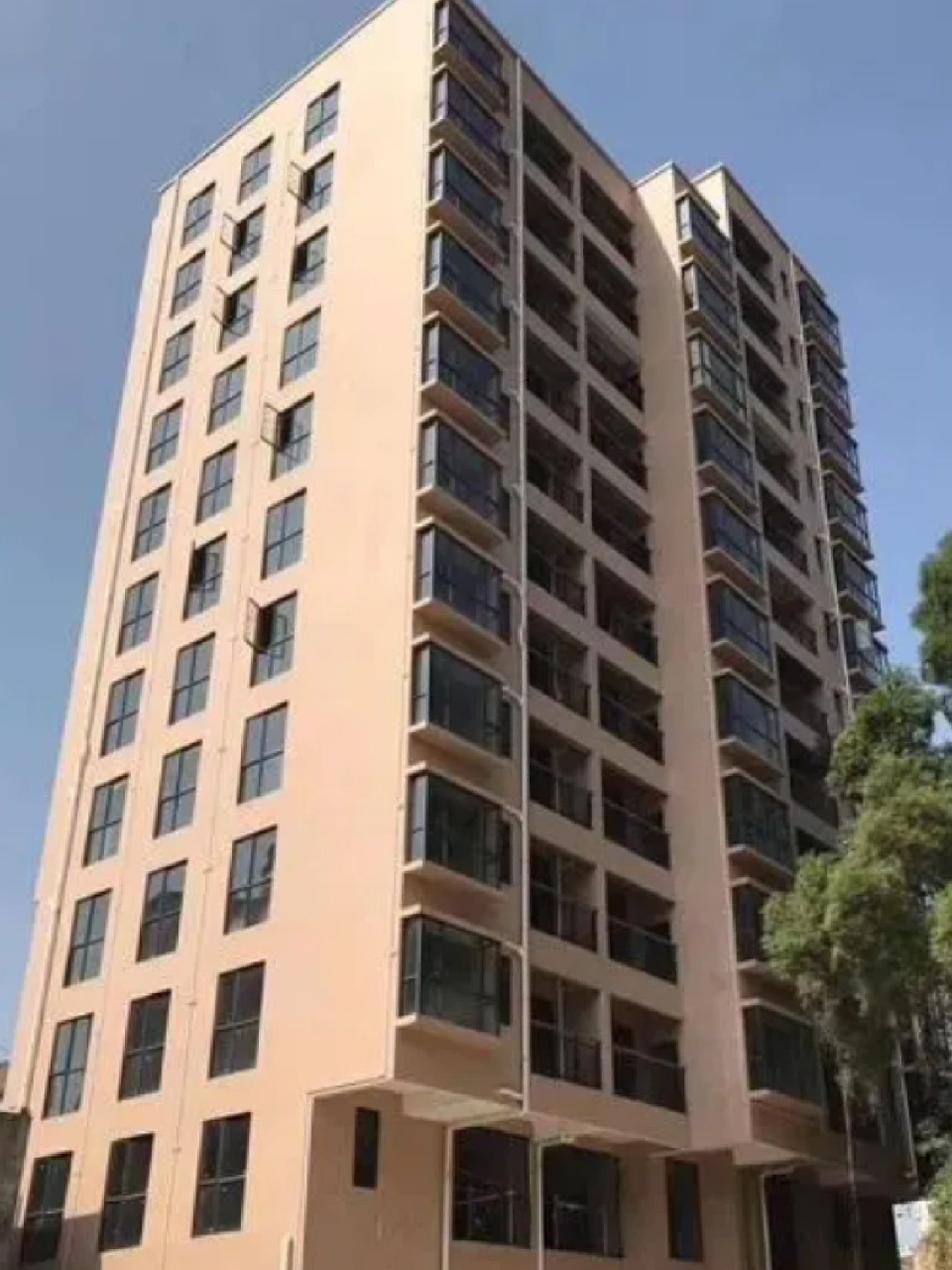 花31万买布吉下水径精装两房,地铁站300米 首付13万起买深圳布吉,下水