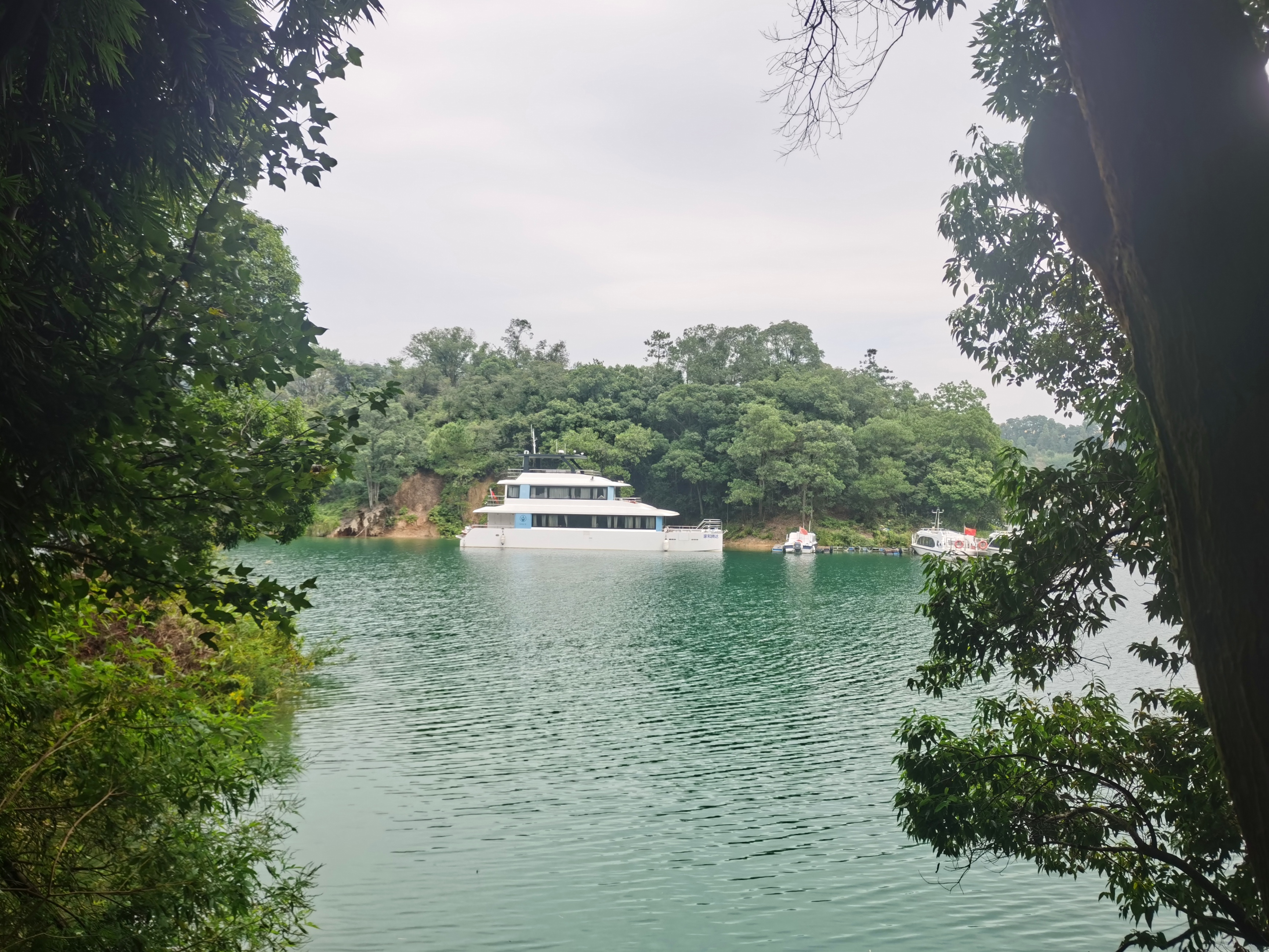 万绿湖风景区电话图片