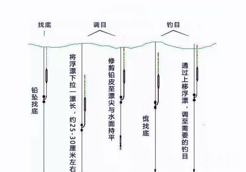 带钩调平水钓二目步骤图片