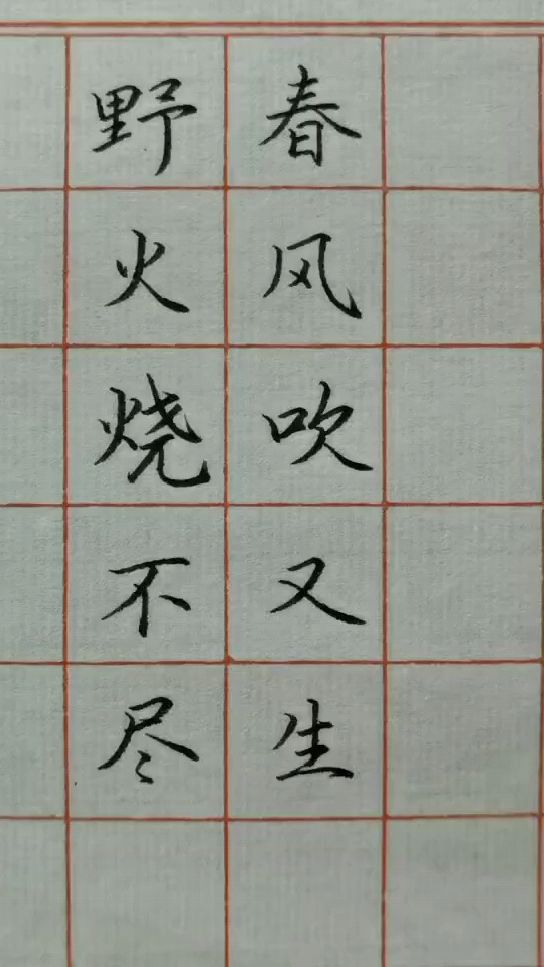 【硬笔书法欣赏】野火烧不尽,春风吹又生-度小视