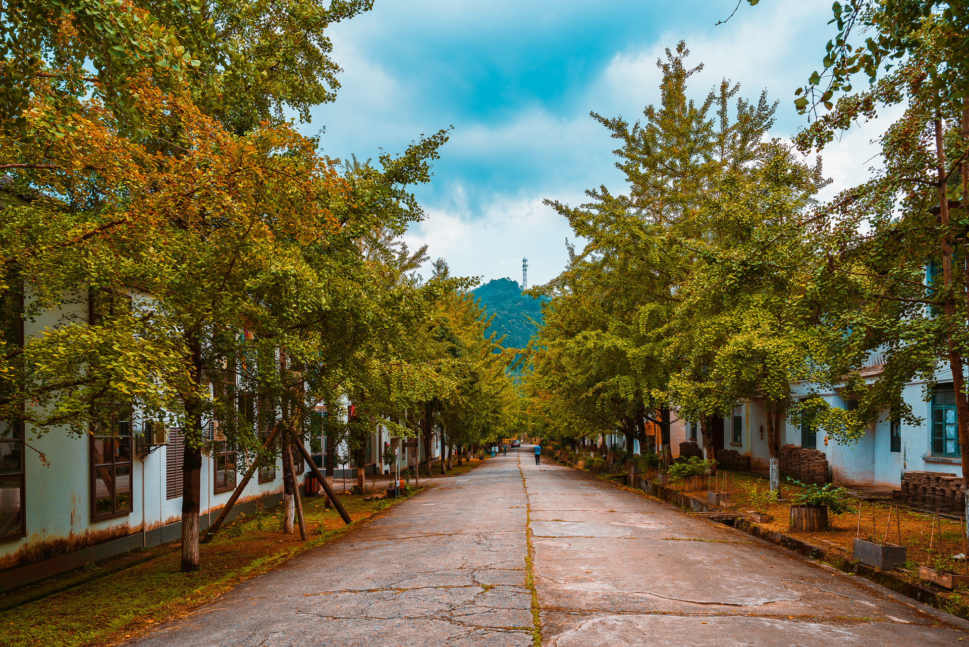 韶关南雄旅游景点大全图片