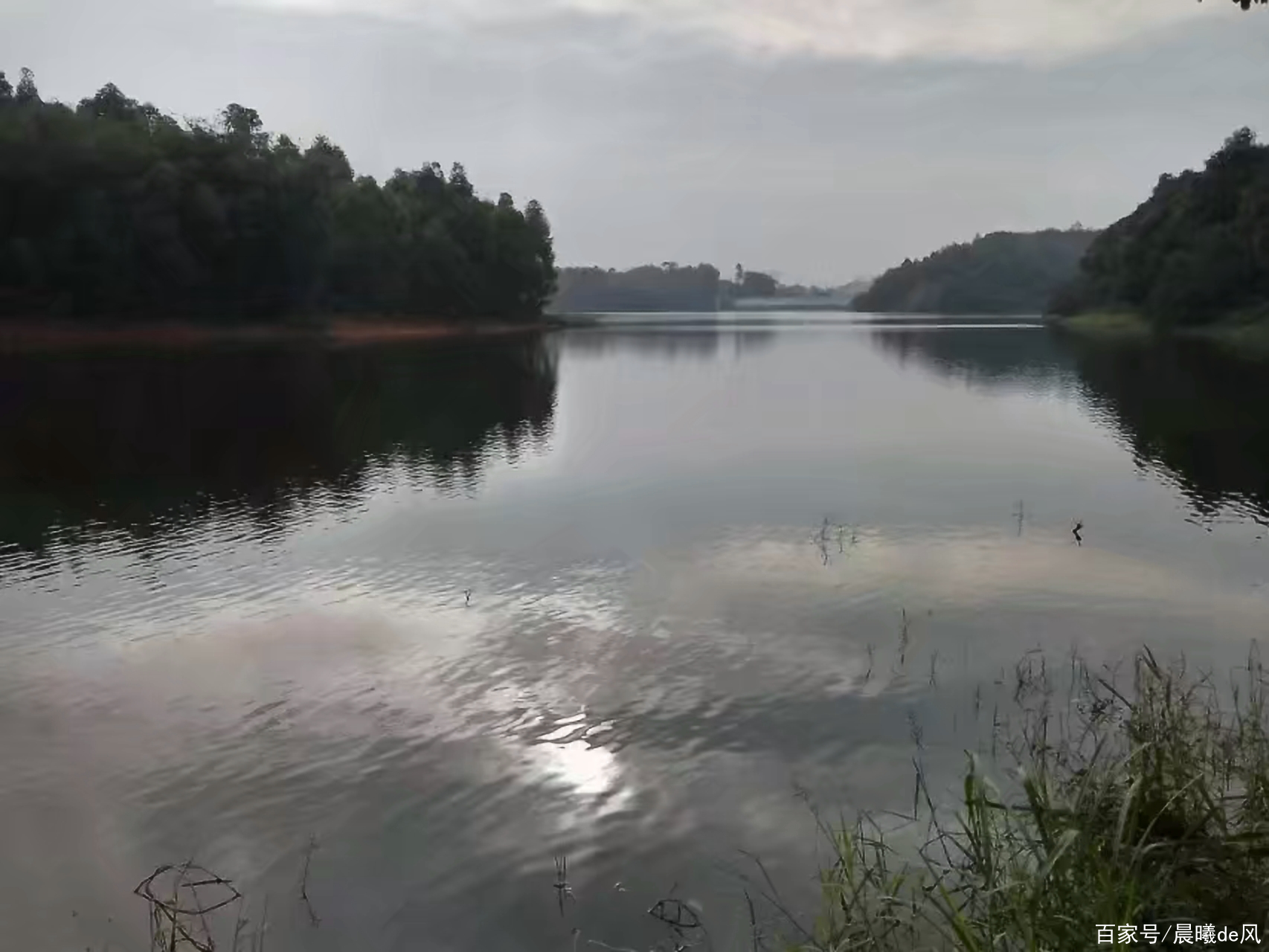 遊記:深圳平湖生態園,一個山青水秀的天然氧吧