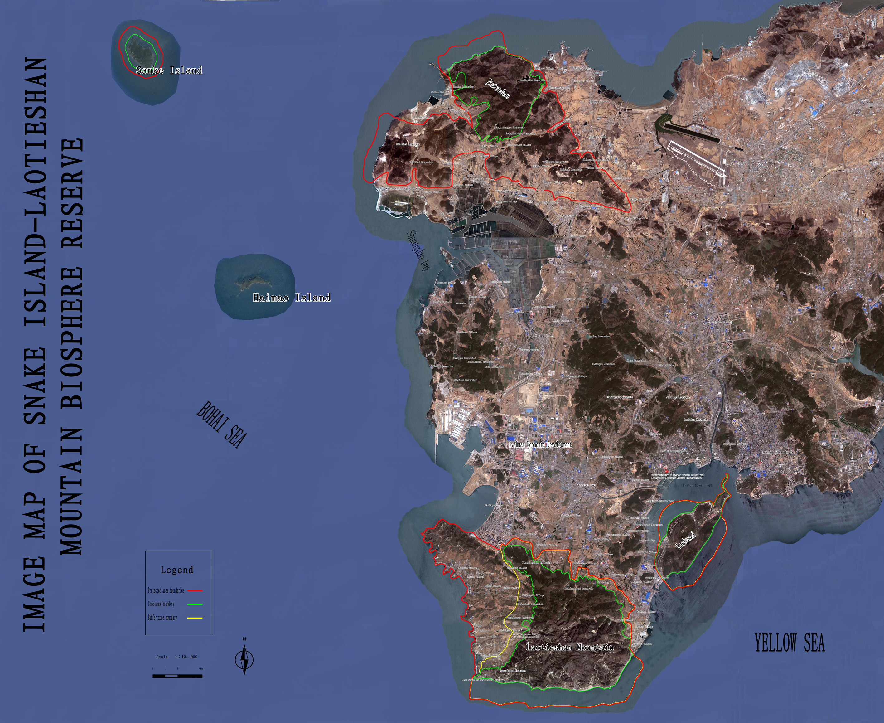 大连蛇岛的蛇为何如此凶猛?2万条蛇独居岛上,珍稀鸟类因此送命