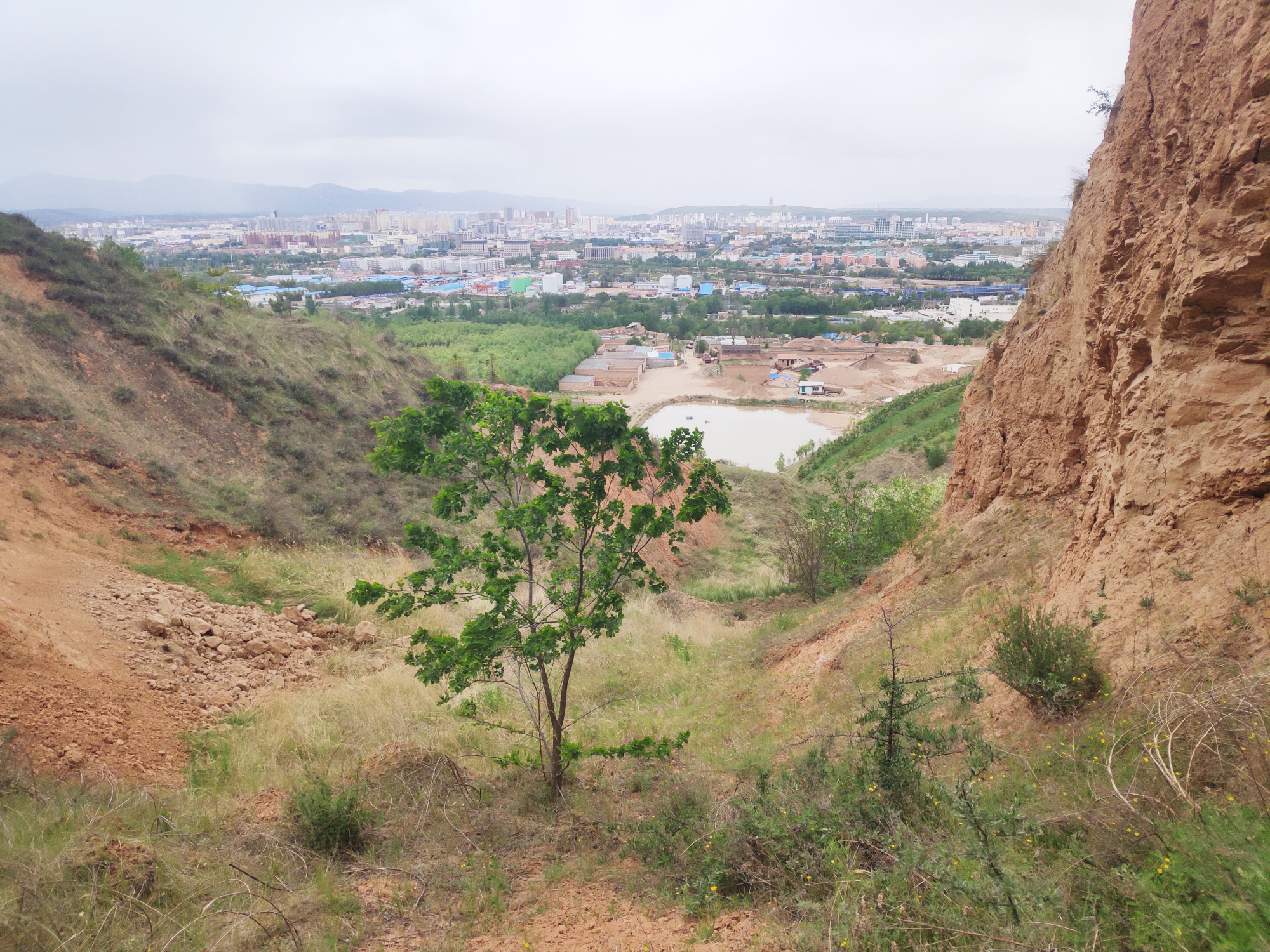 宁夏固原市黄土高原现状,山上都是绿色的植被