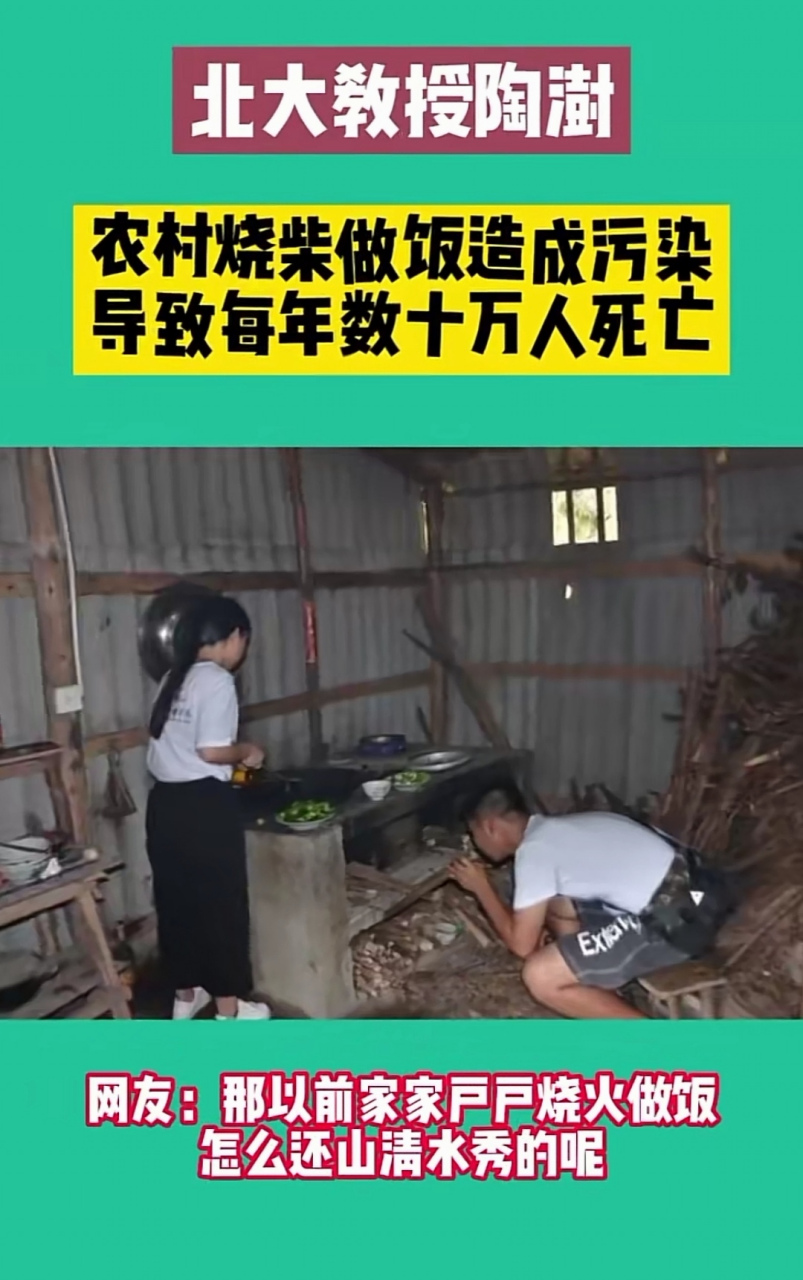 北大教授陶澍:农村烧柴做饭造成污染导致每年数十万人死亡.
