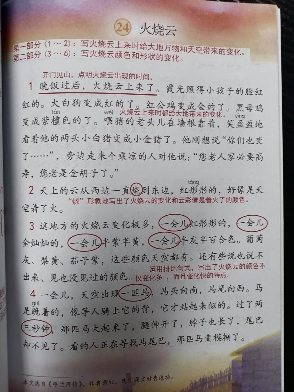 3年级语文下册24课【火烧云】课堂笔记.