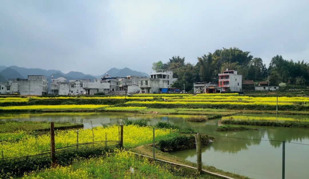 百色靖西市禄峒镇平江