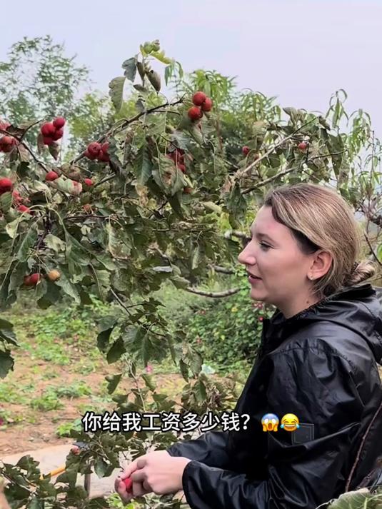 俄罗斯做什么比较赚钱(俄罗斯做什么比较赚钱呢)