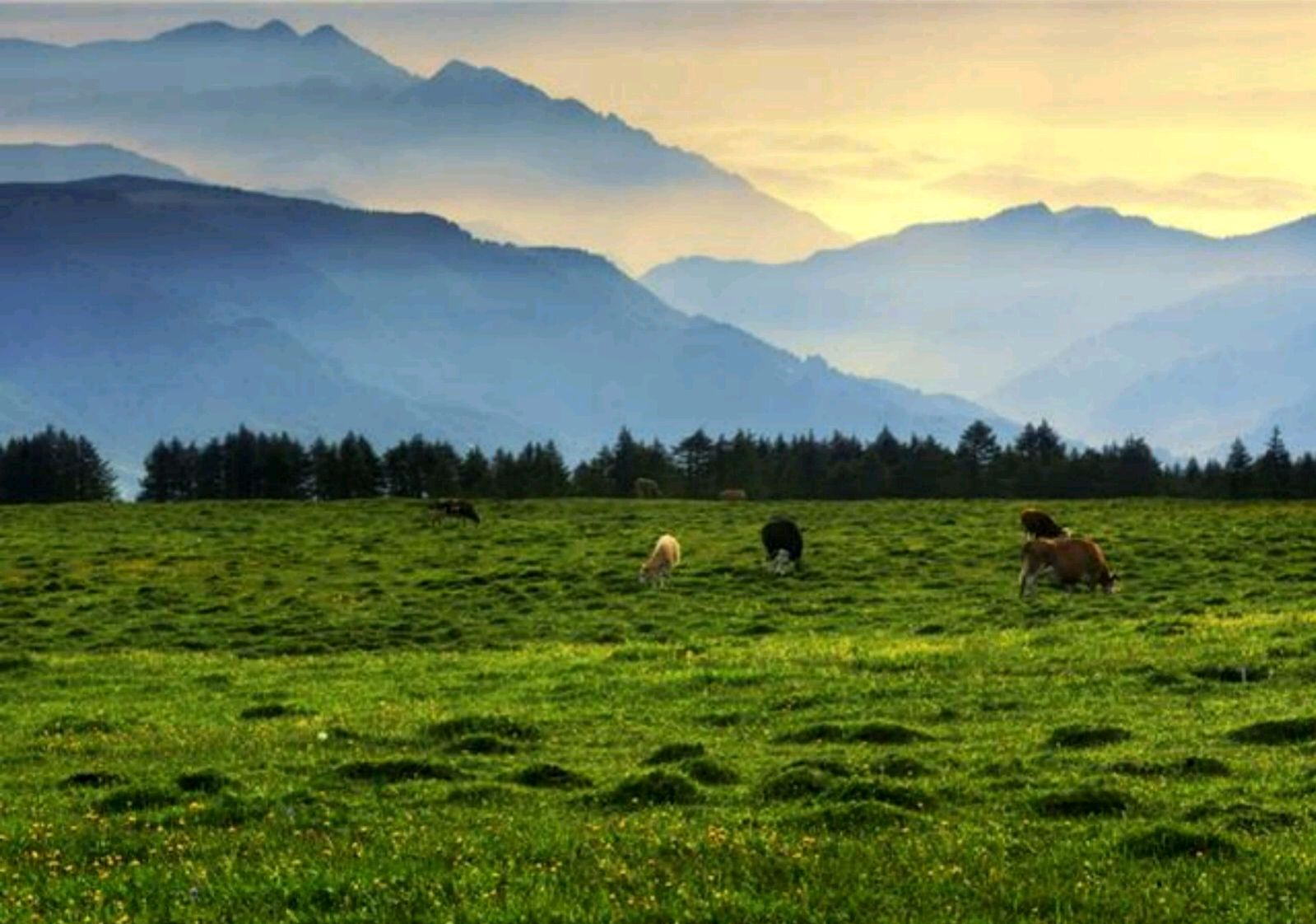 山西"马仑草原"广阔平坦,绿草丰茂!一年四季皆有景,你来过吗