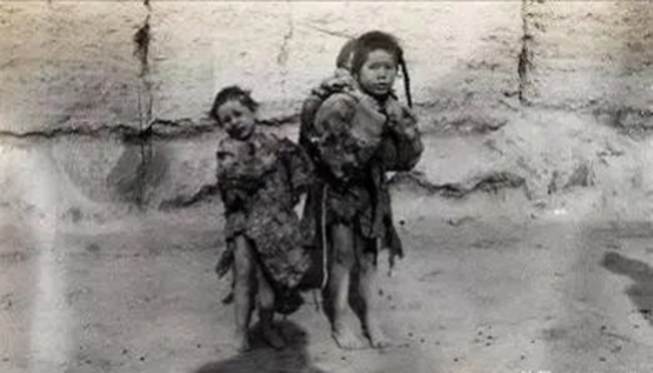 1989年,"灭鼠大王"邱满囤一次性灭鼠35万只,重量达到了80多吨,如此