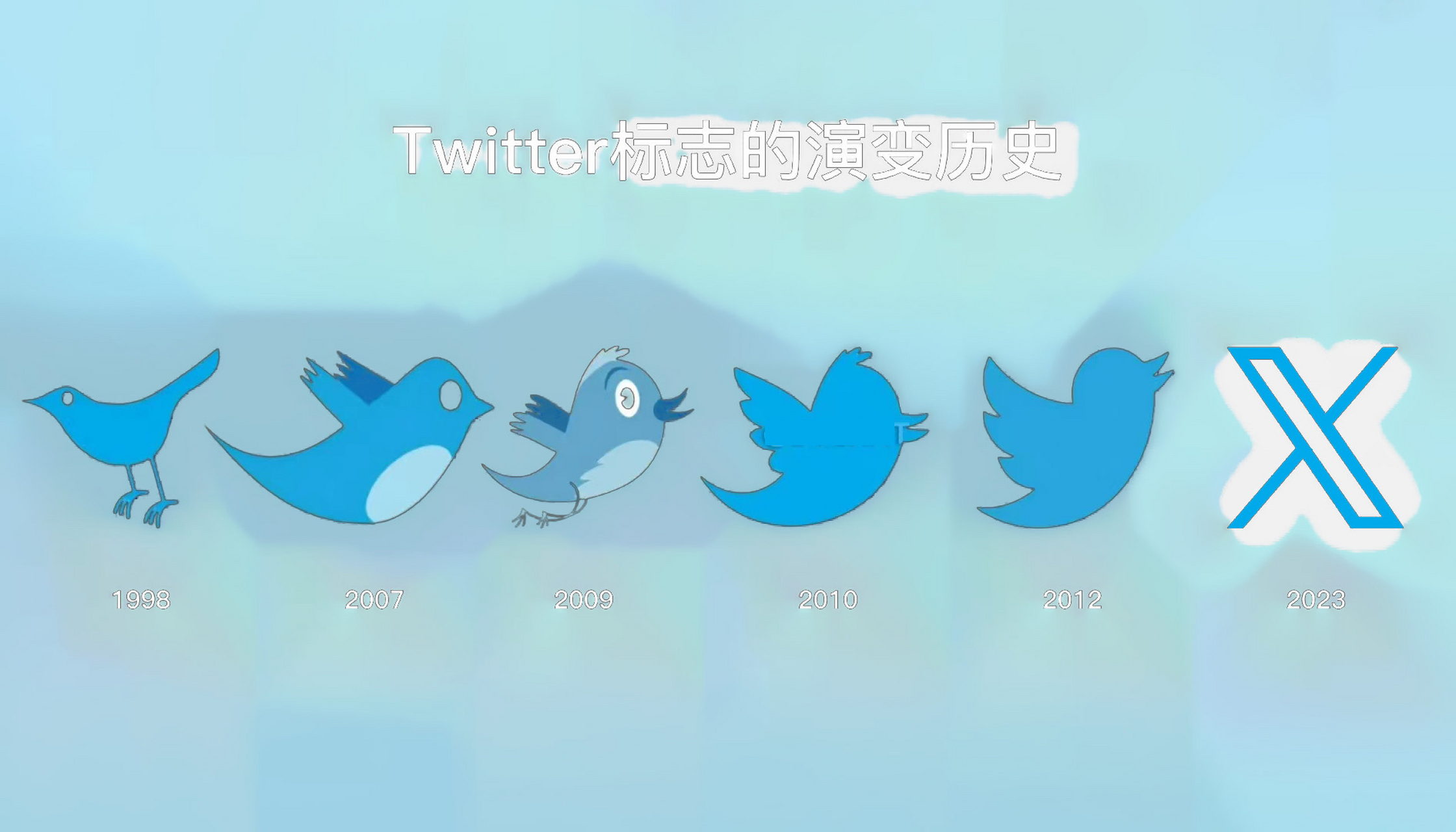 什么时候小蓝鸟变成x了,twitter不就是鸟叫的意思吗 没了鸟还推什么