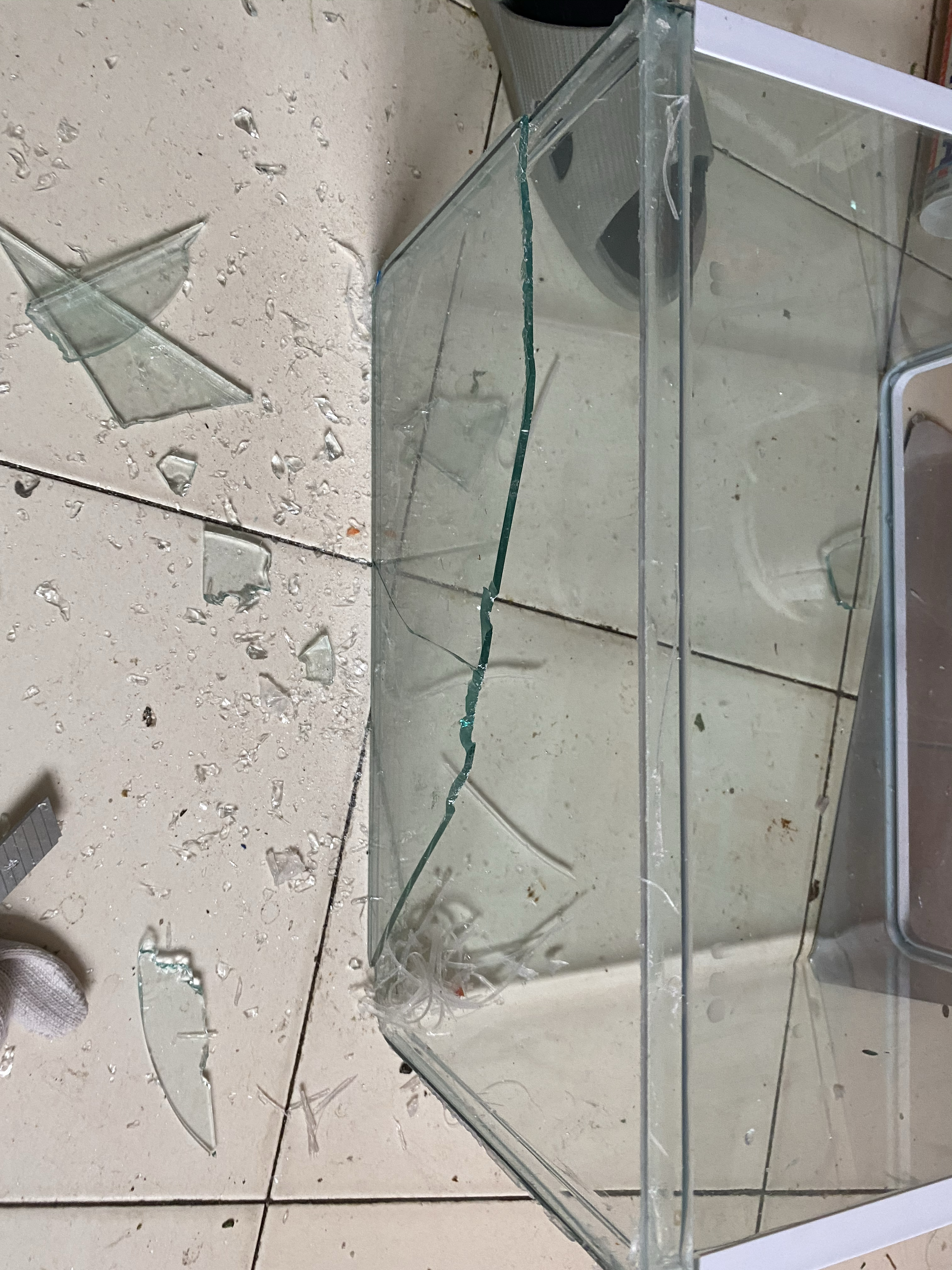 手把手教你修鱼缸