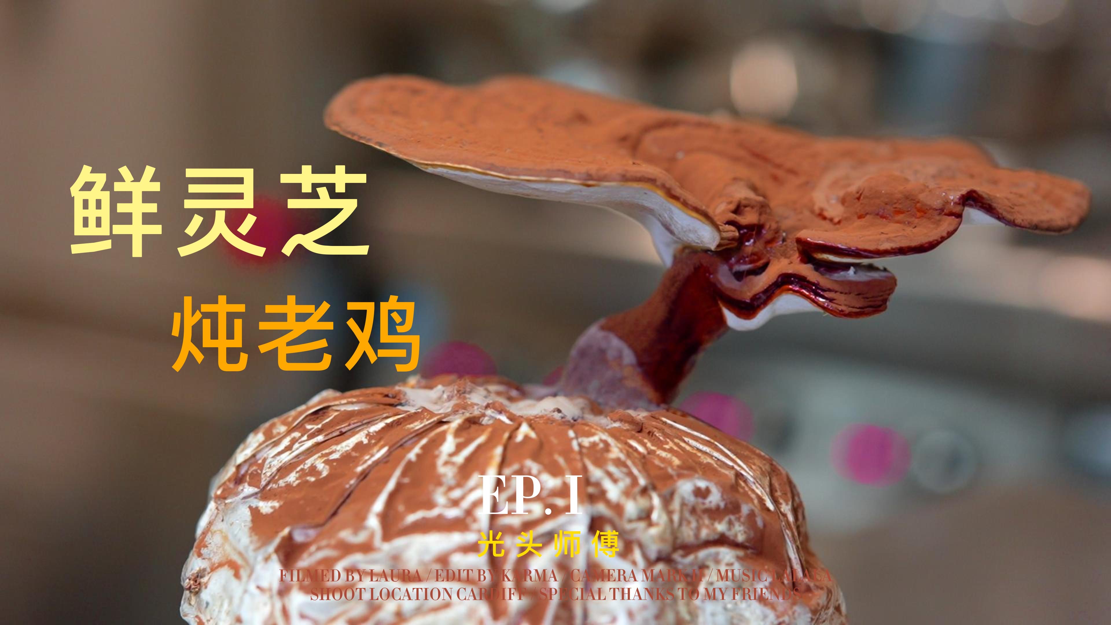灵芝炖老鸡放花雕酒,真的香吗?试过都不会让你失望