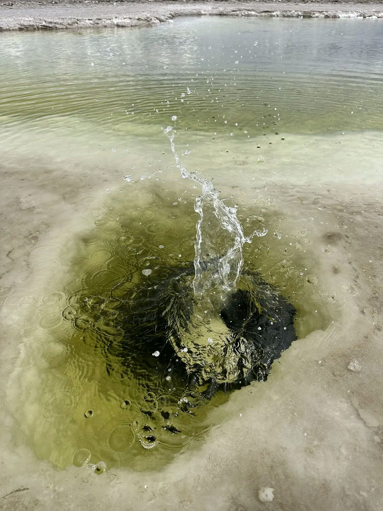 昨晚,23:30孩子睡了,我起身去卫生间,这时我听到老