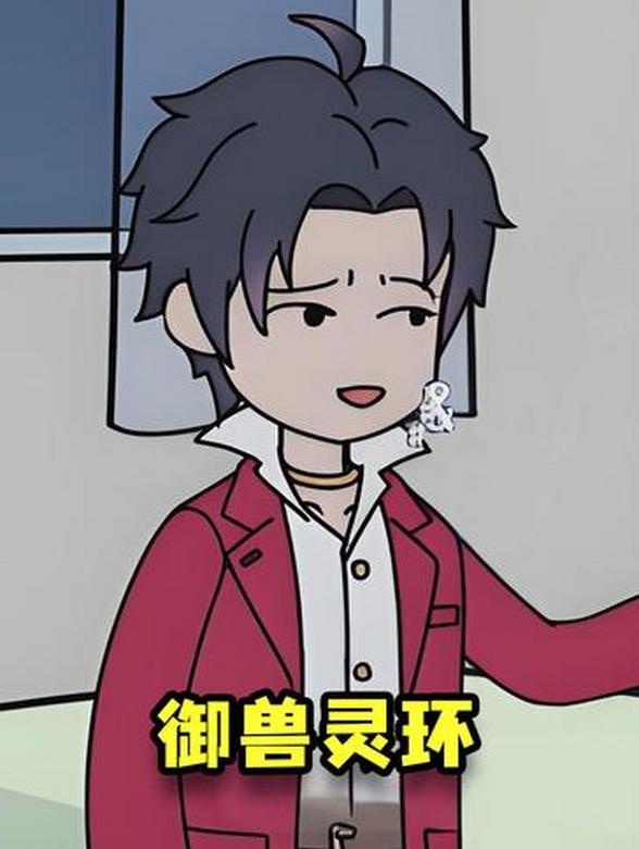 御兽灵环