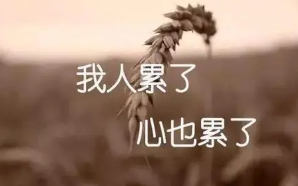 不说累字