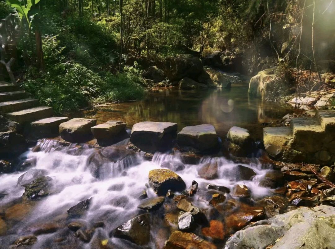 淳安.千岛湖红山谷景区