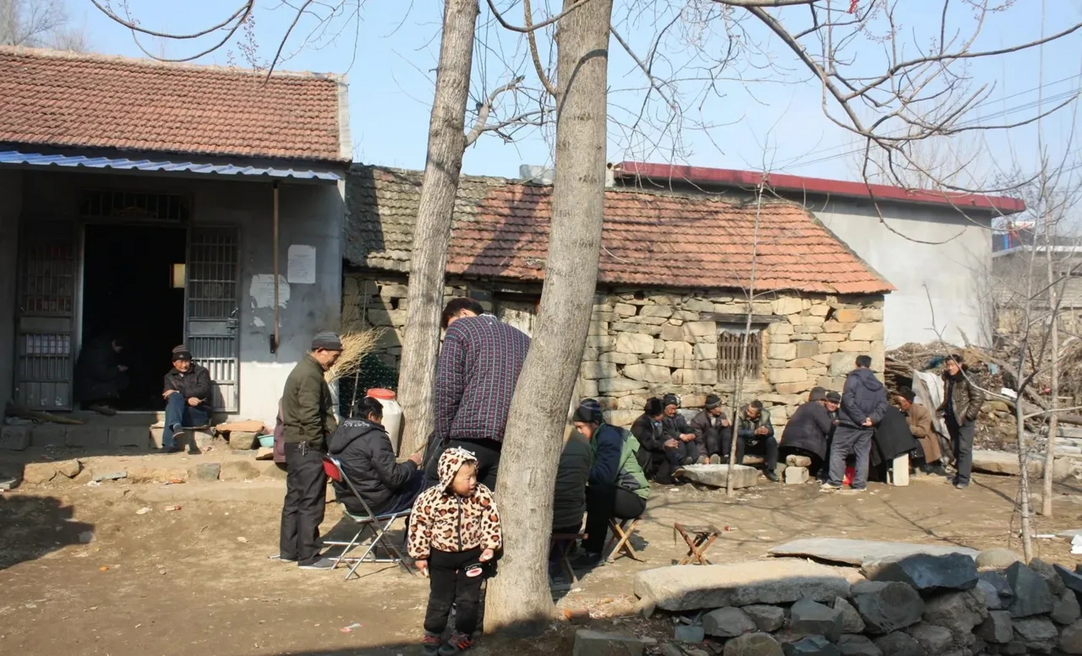 今天回老家,婆婆和邻居聊天,她们说村里的光棍越来越多了,我随口插了