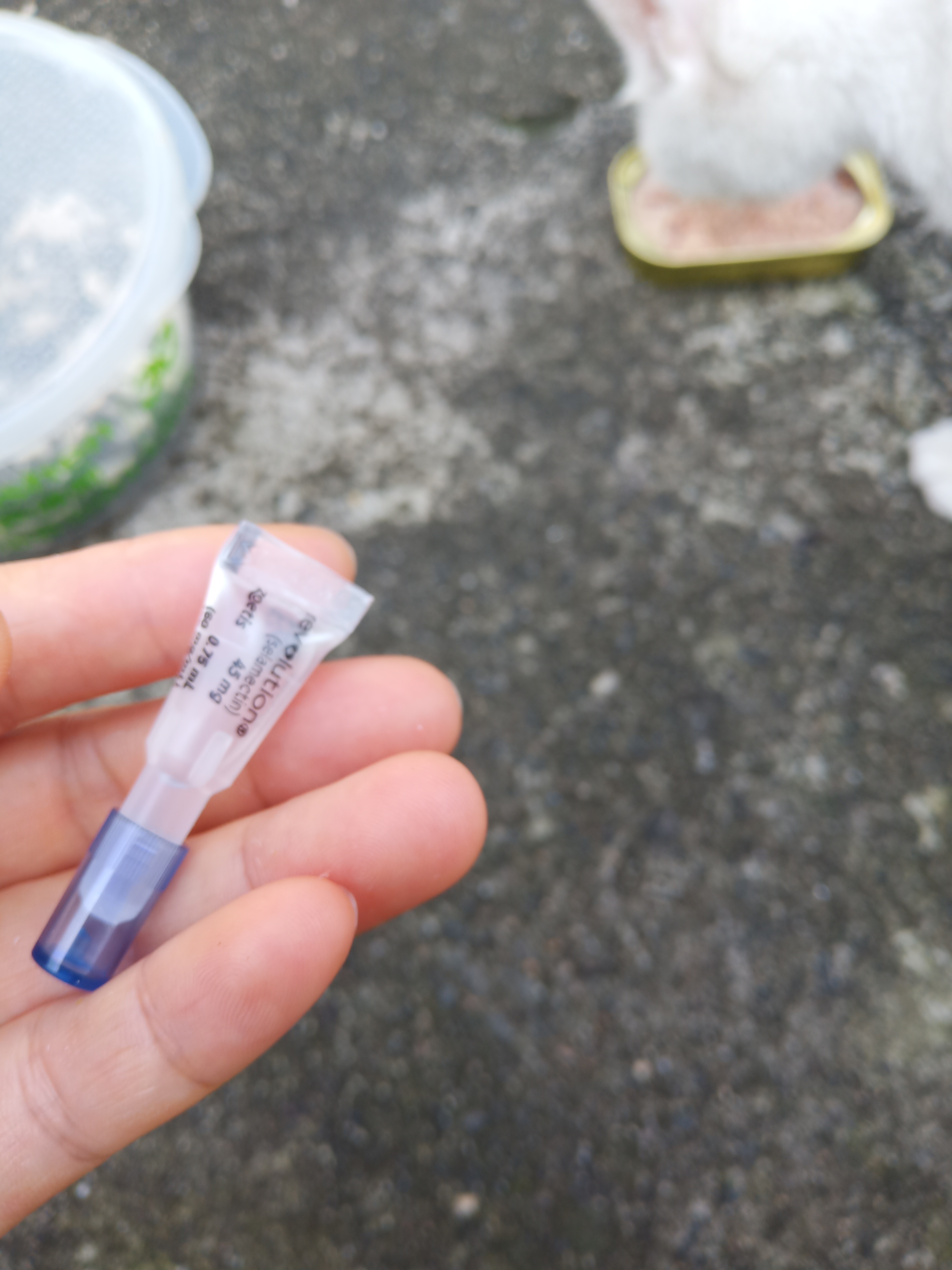 昨天看小白的伤口又被自己抓烂了上次给它上过一次碘伏结痂了这次又