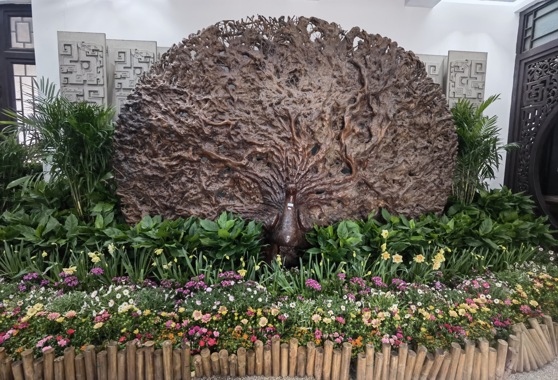 屠一道根雕馆看春花展  在屠一道根雕馆里 有春花展 红掌 马蹄莲 杜鹃