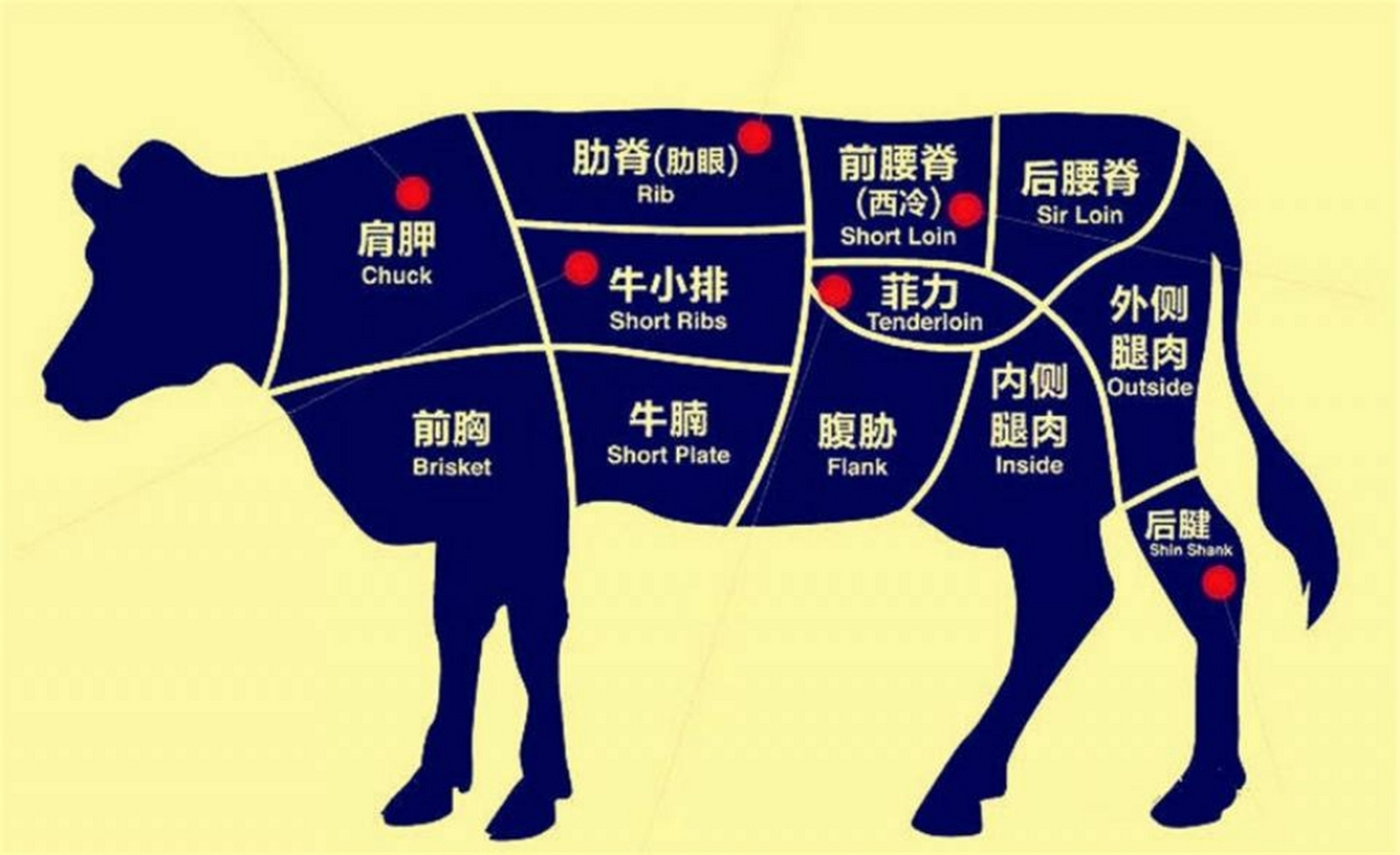 牛身上的各部位肉的称呼,收藏学习