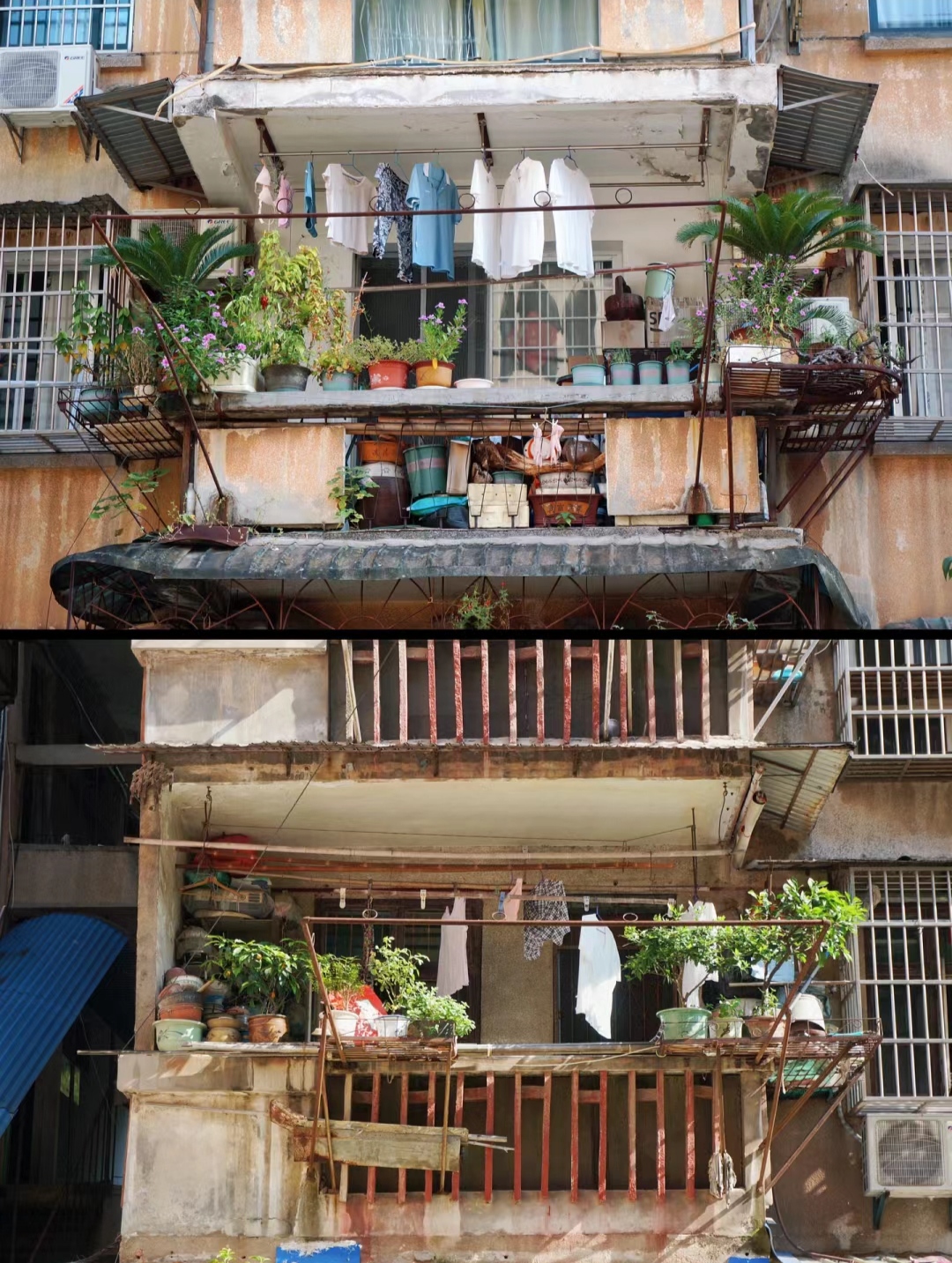 阳台上晒满了各种衣物,管不住葱葱郁郁的绿植,一切都那么自然,洋溢着