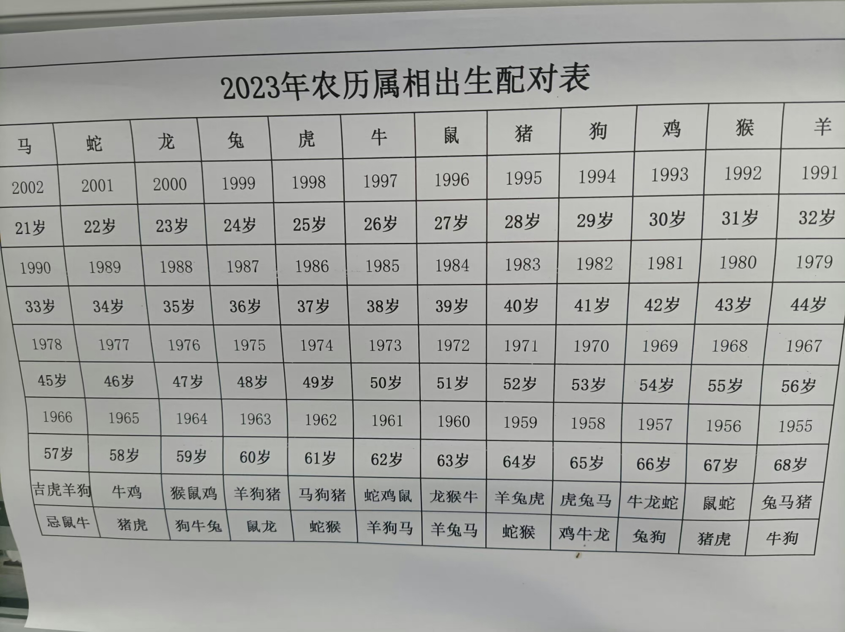 十二生肖最佳配对表格图片