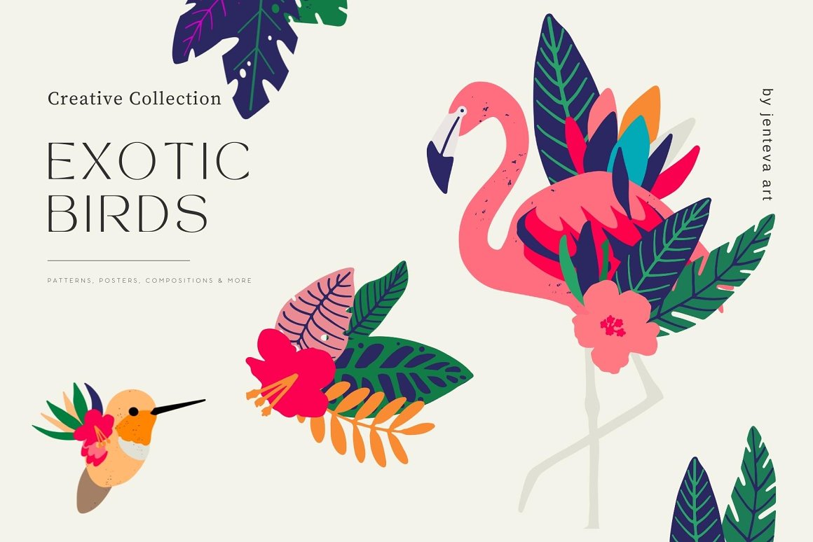 Exotic Birds Collection.jpg