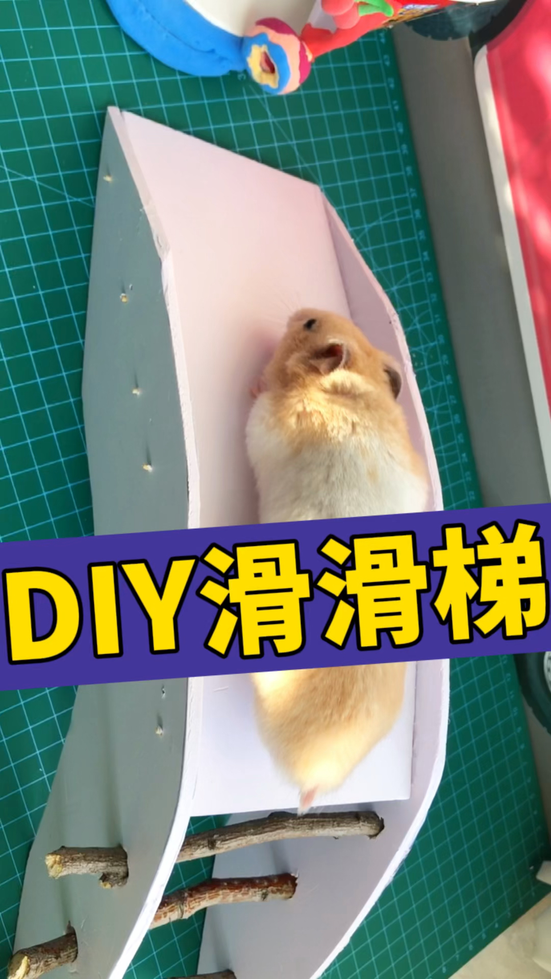 仓鼠也能玩的迷你滑滑梯速成