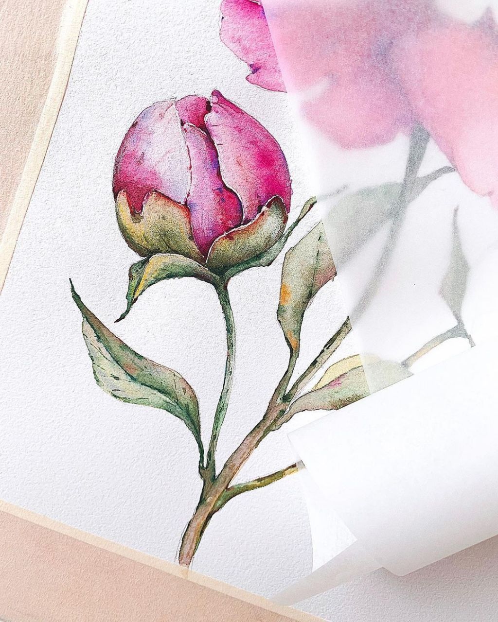 艺术家olya_vedutova   笔下的一组水彩作品 676767 #绘画欣赏