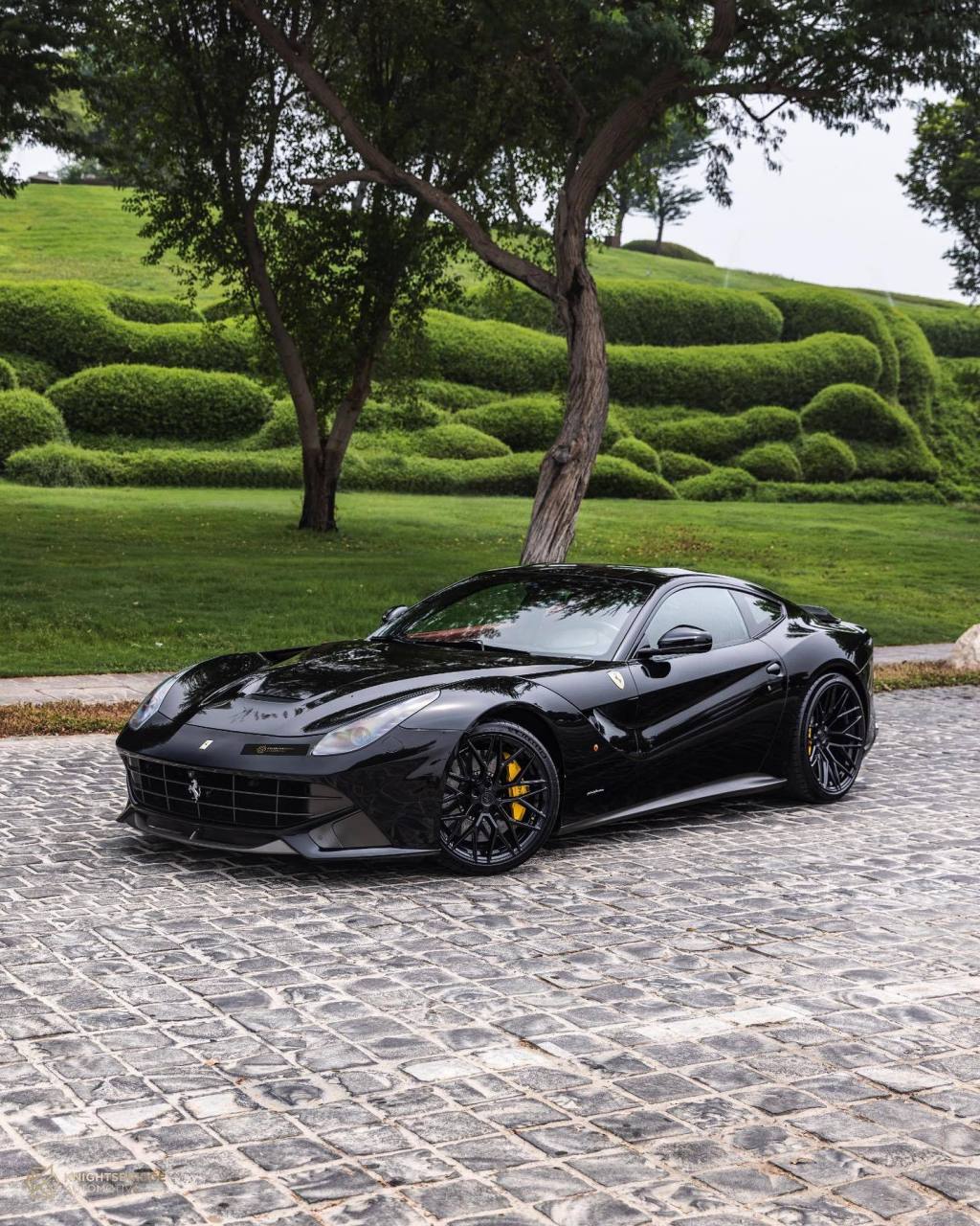 法拉利 f12 berlinetta [得意][得意]