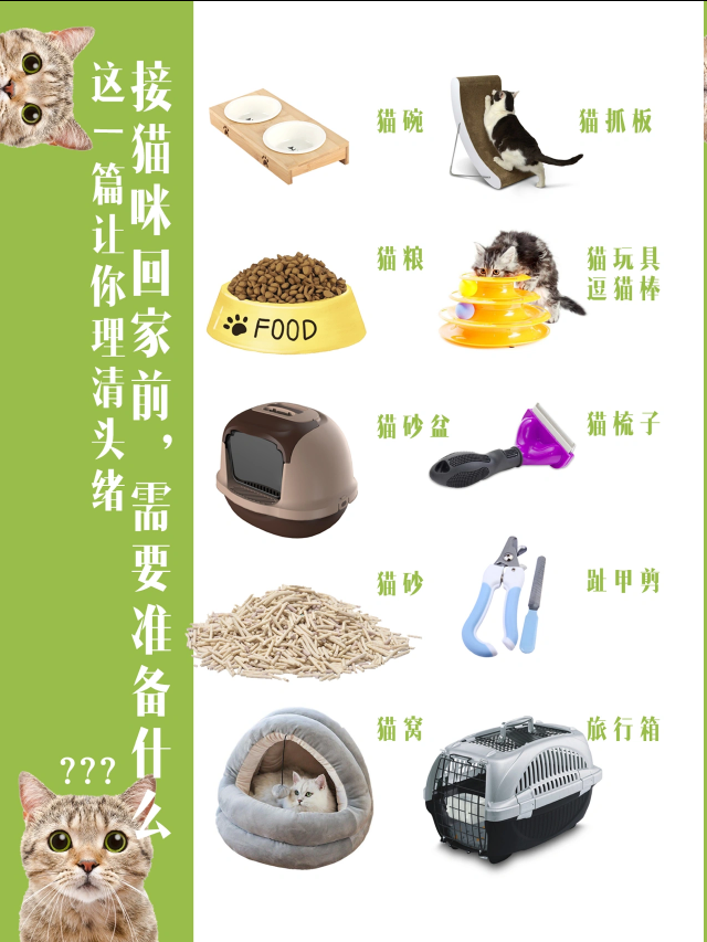 新手初次养猫需要准备什么用品,这个清单最全