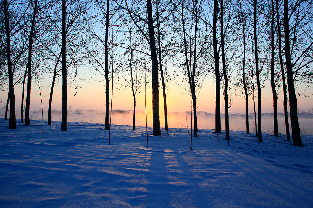 东北美景 林海雪原