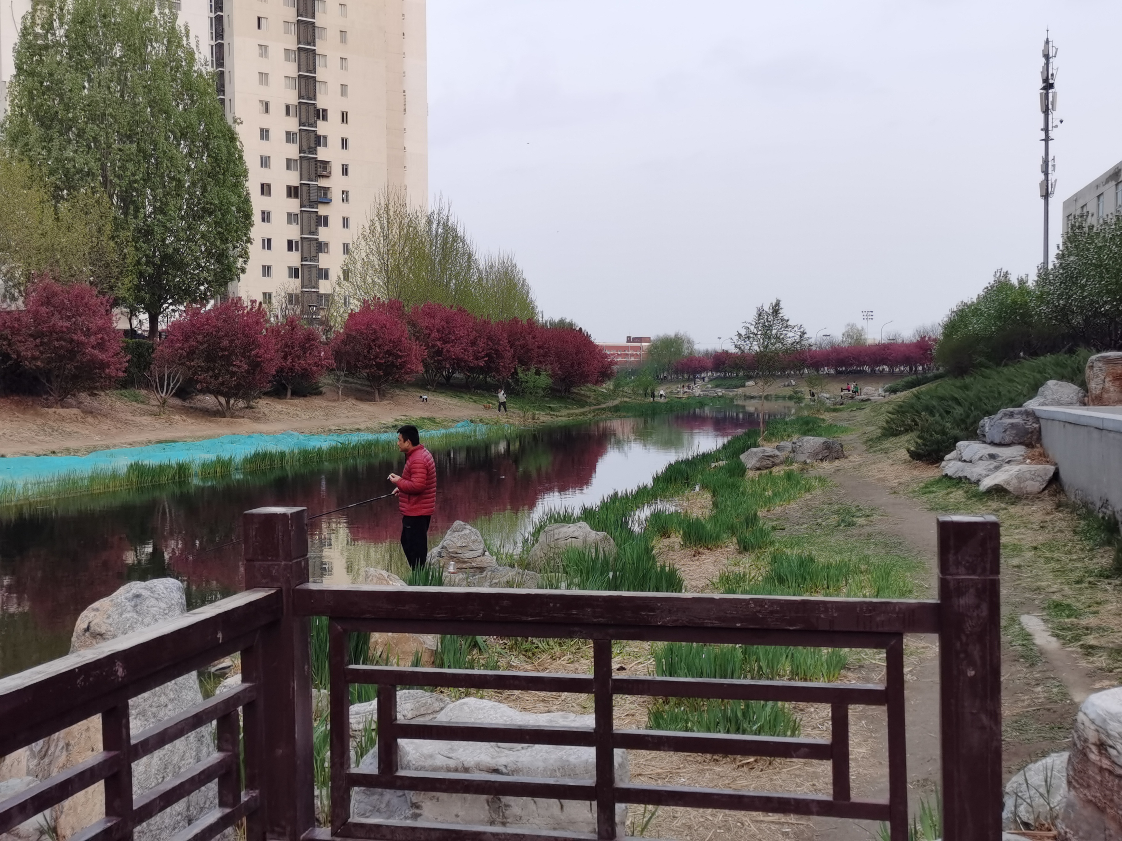 春天的萧太后河公园适合去赏花看瀑布