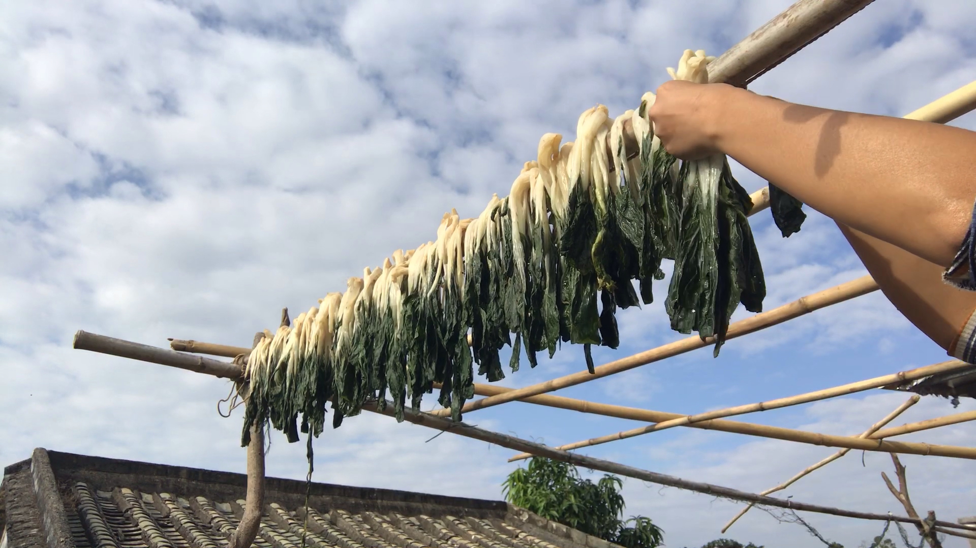 在农村种的菜吃不完,用这种方法晒成菜干,煮汤最好吃,家人爱吃