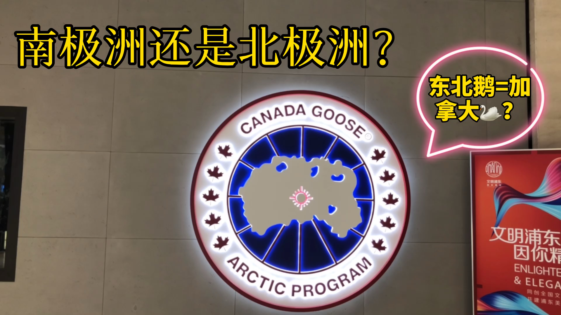 加拿大鹅生意惨淡,店铺客流量很少,来看看什么情况?