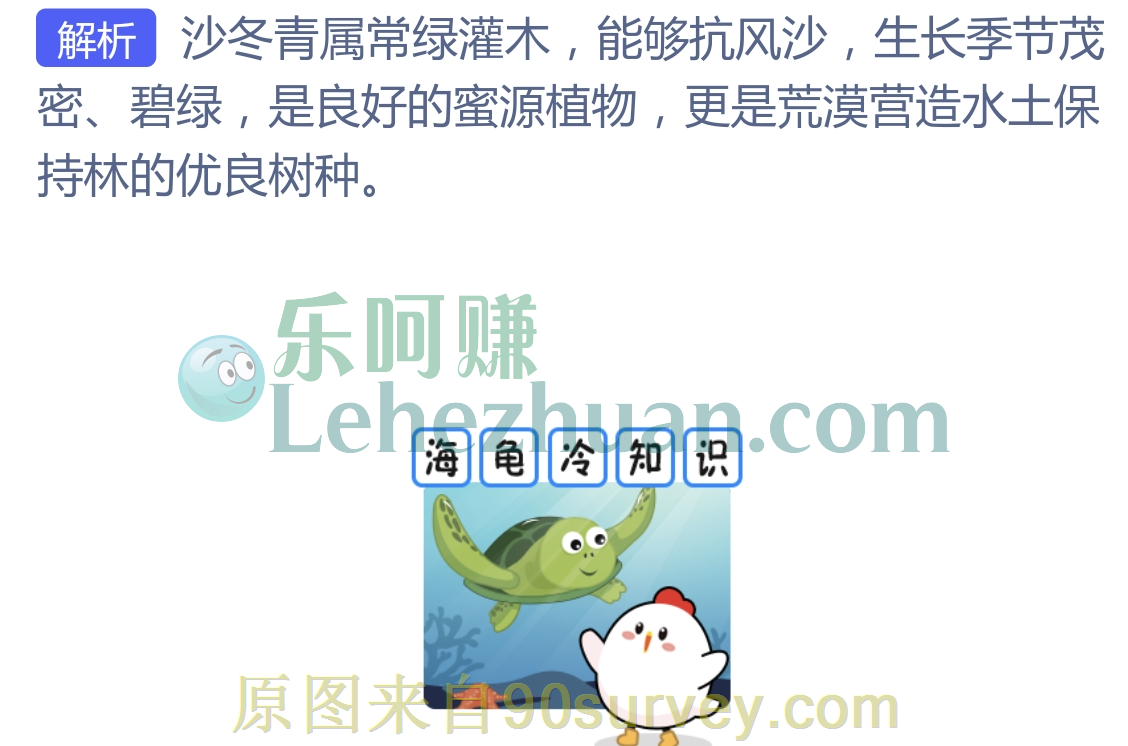荒漠植物沙冬青可以四季常绿