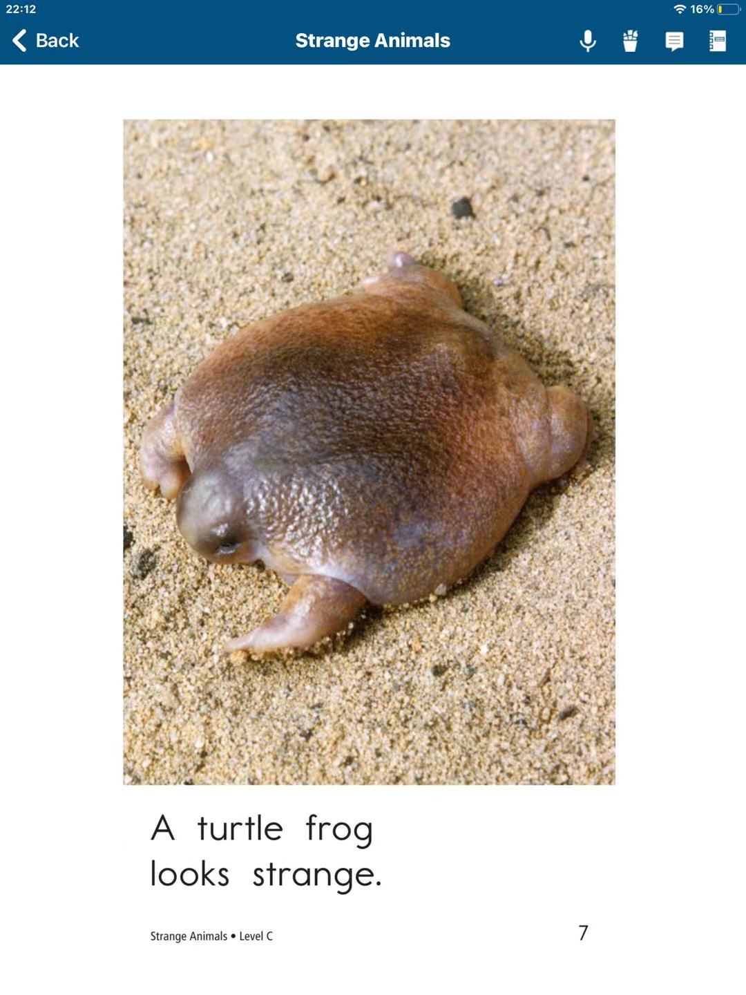 儿童家庭教育 raz里的turtle frog 学名是古氏龟蟾用龟蛙搜索