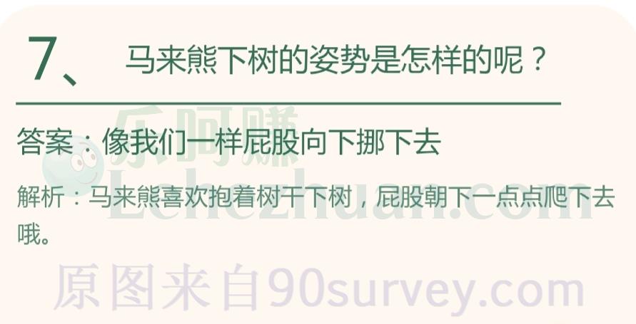 马来熊下树的姿势是怎样的呢?答案:像我们一样屁股向下挪下去 马来熊下树的姿势是怎样的呢?答案:像我们一样屁股向下挪下去