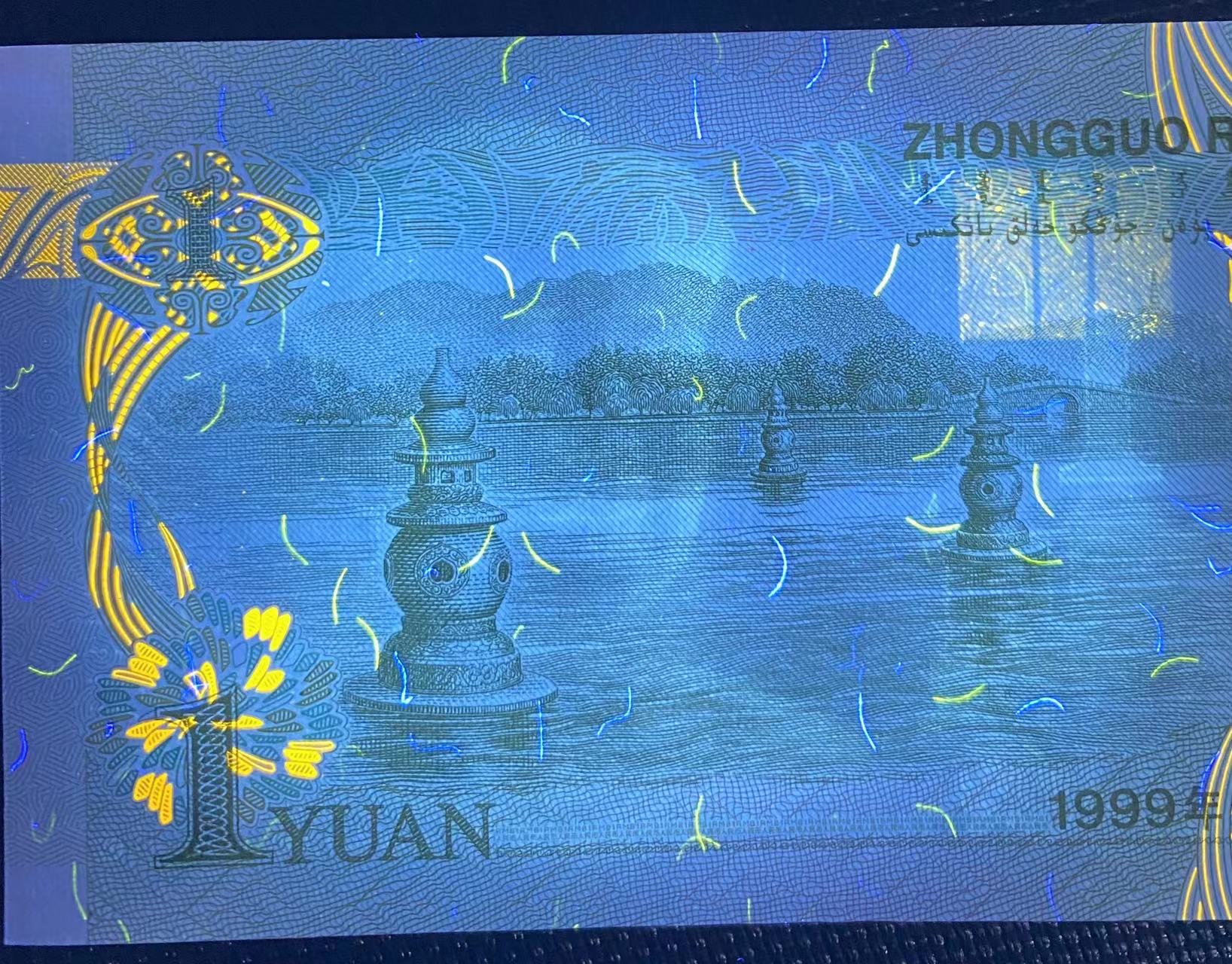 991高密丝大叶兰