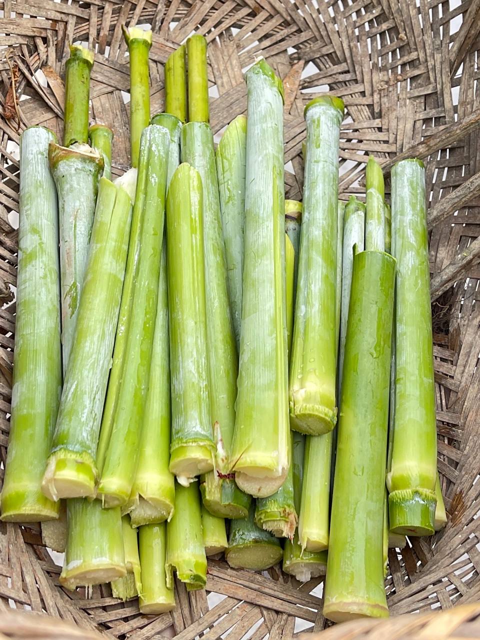 高粱甜杆,可以手撕的小甘蔗,清甜清爽,你吃过吗?