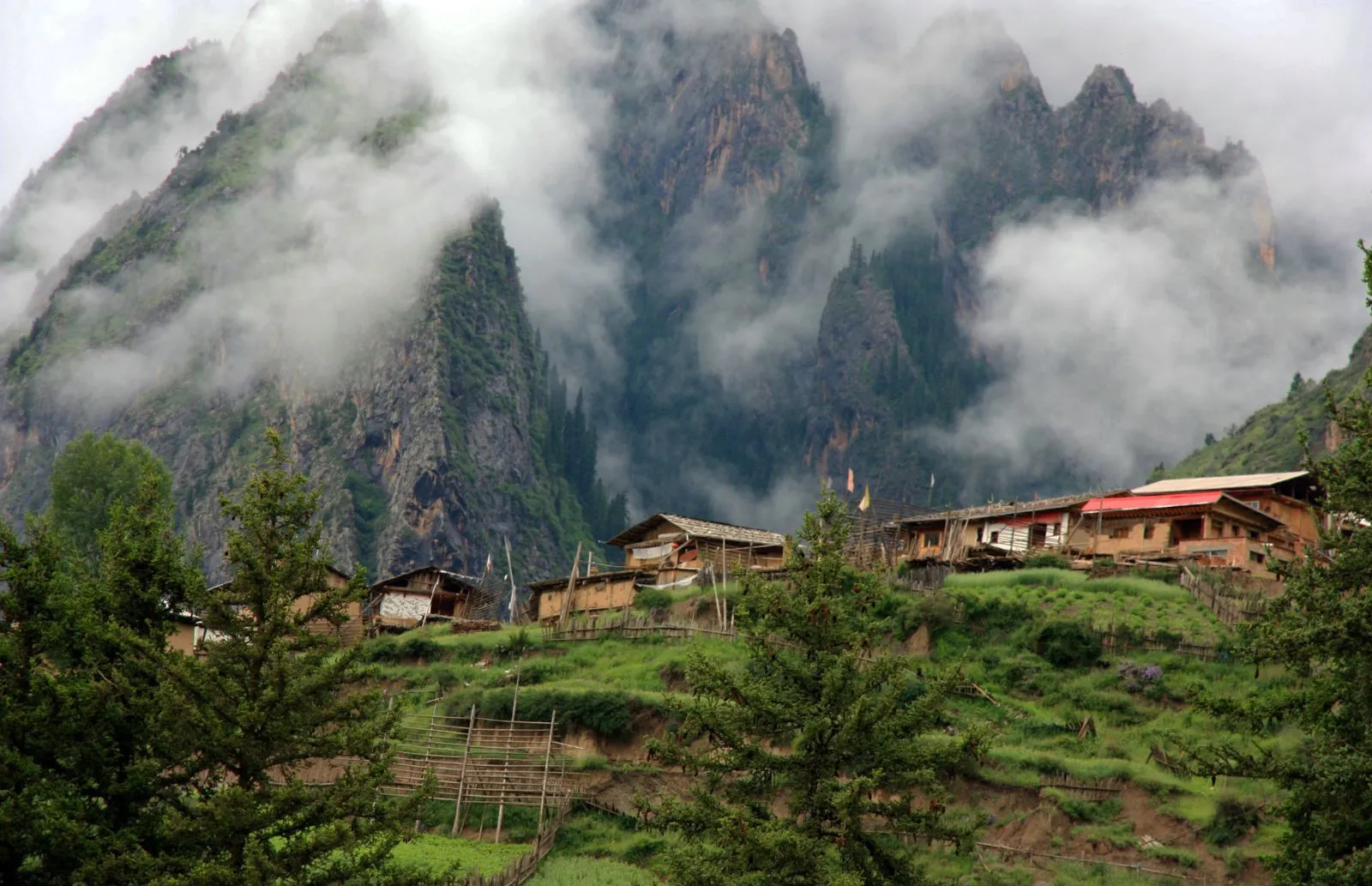 卓尼洛克之路的春夏秋冬