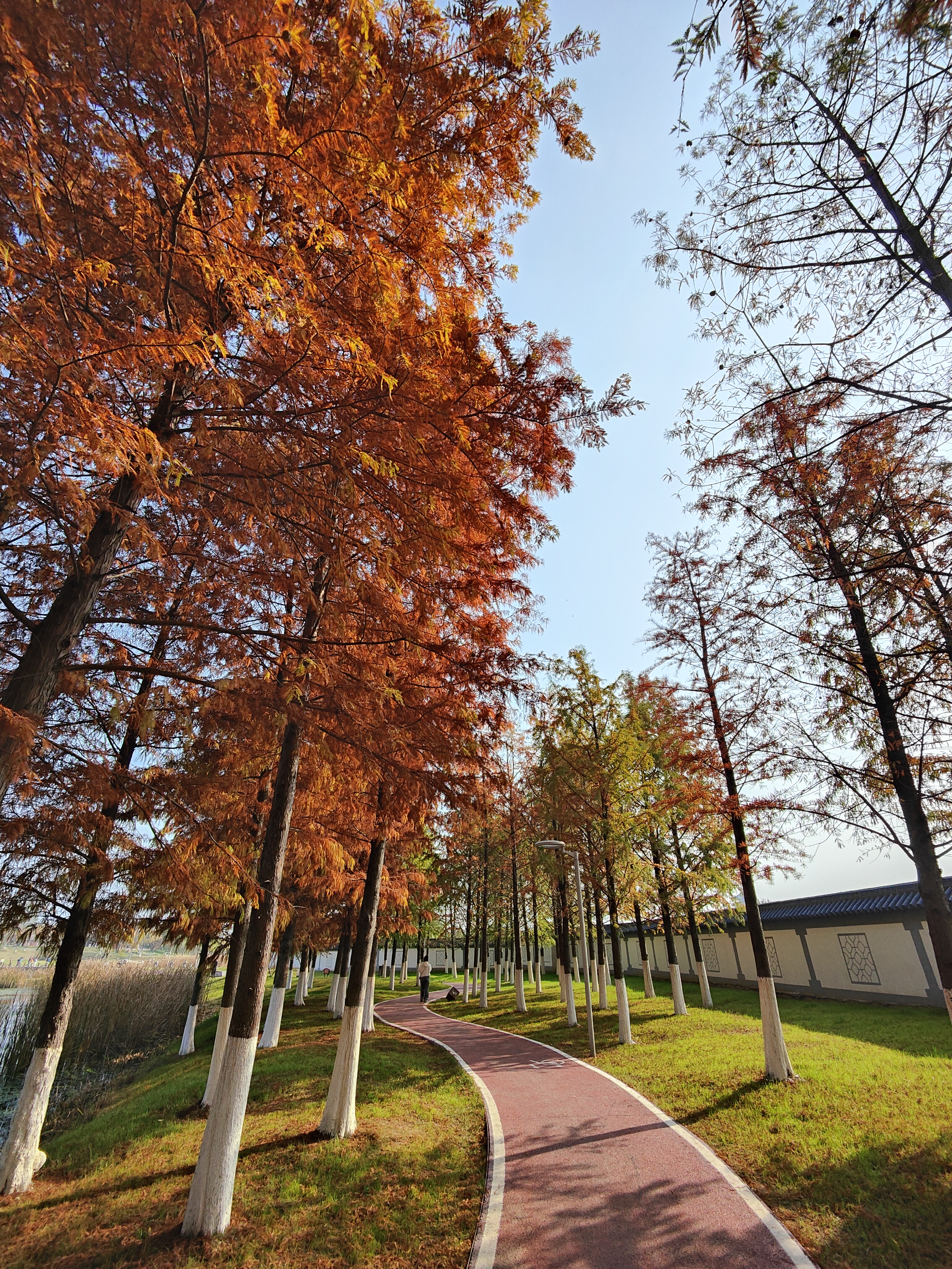 汤山金乌温泉公园