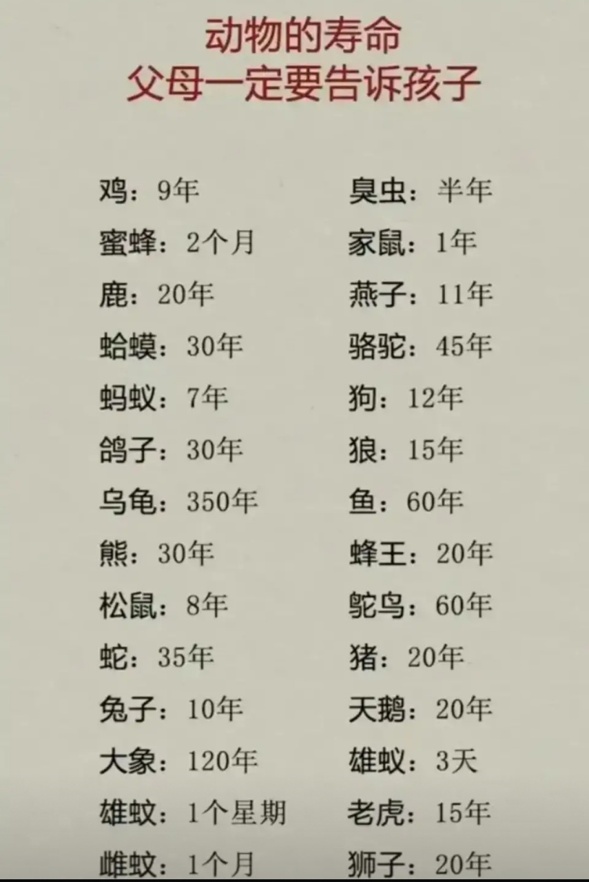 动物的寿命,了解一下.