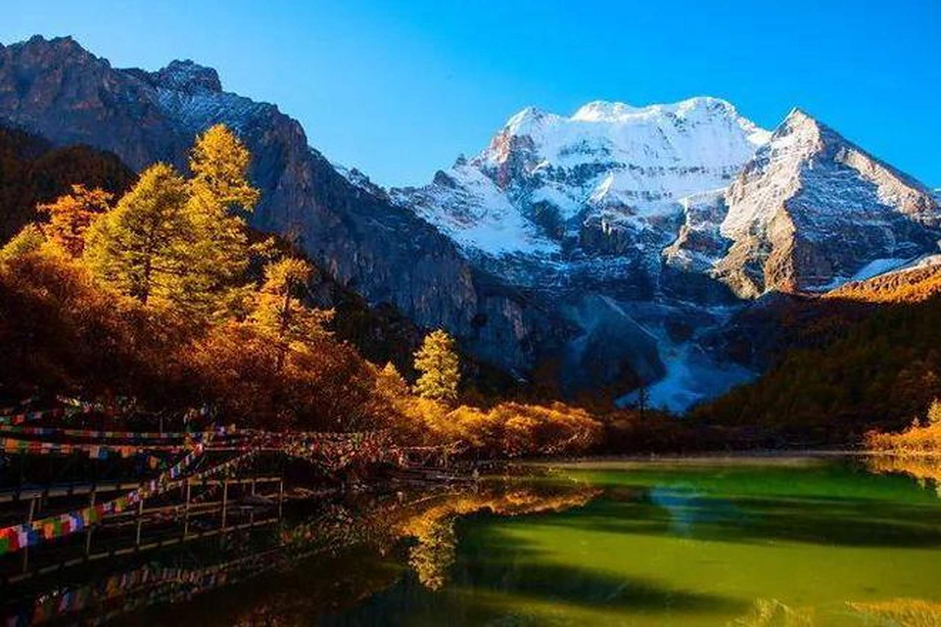 关于稻城说走就走的旅行(稻城很火的一段话)